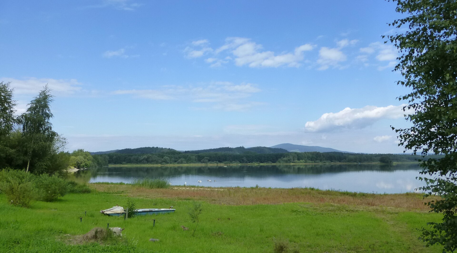 Černá v Pošumaví Lipno Reservoir 80079