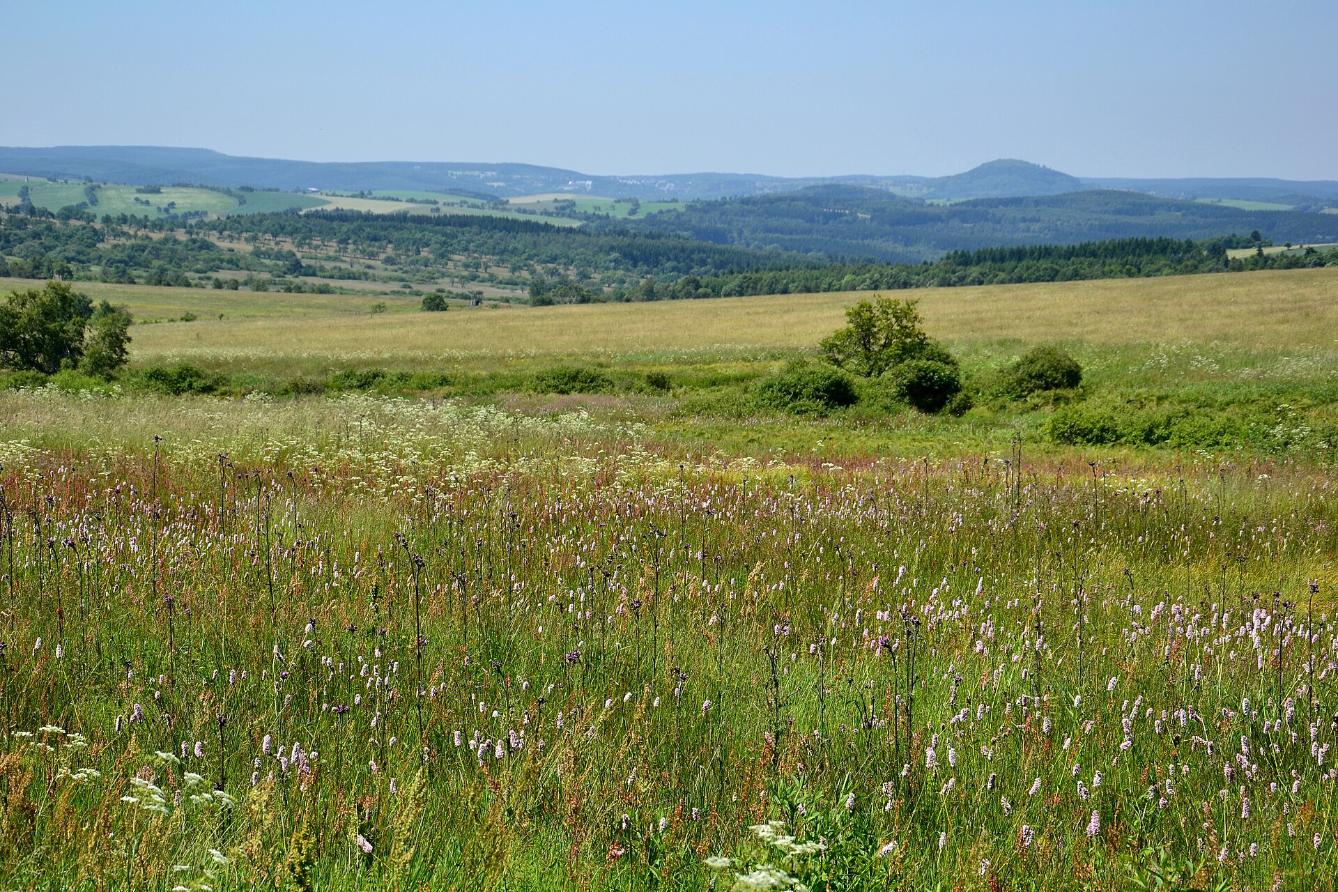 PR Černá louka 2015-07-02 4