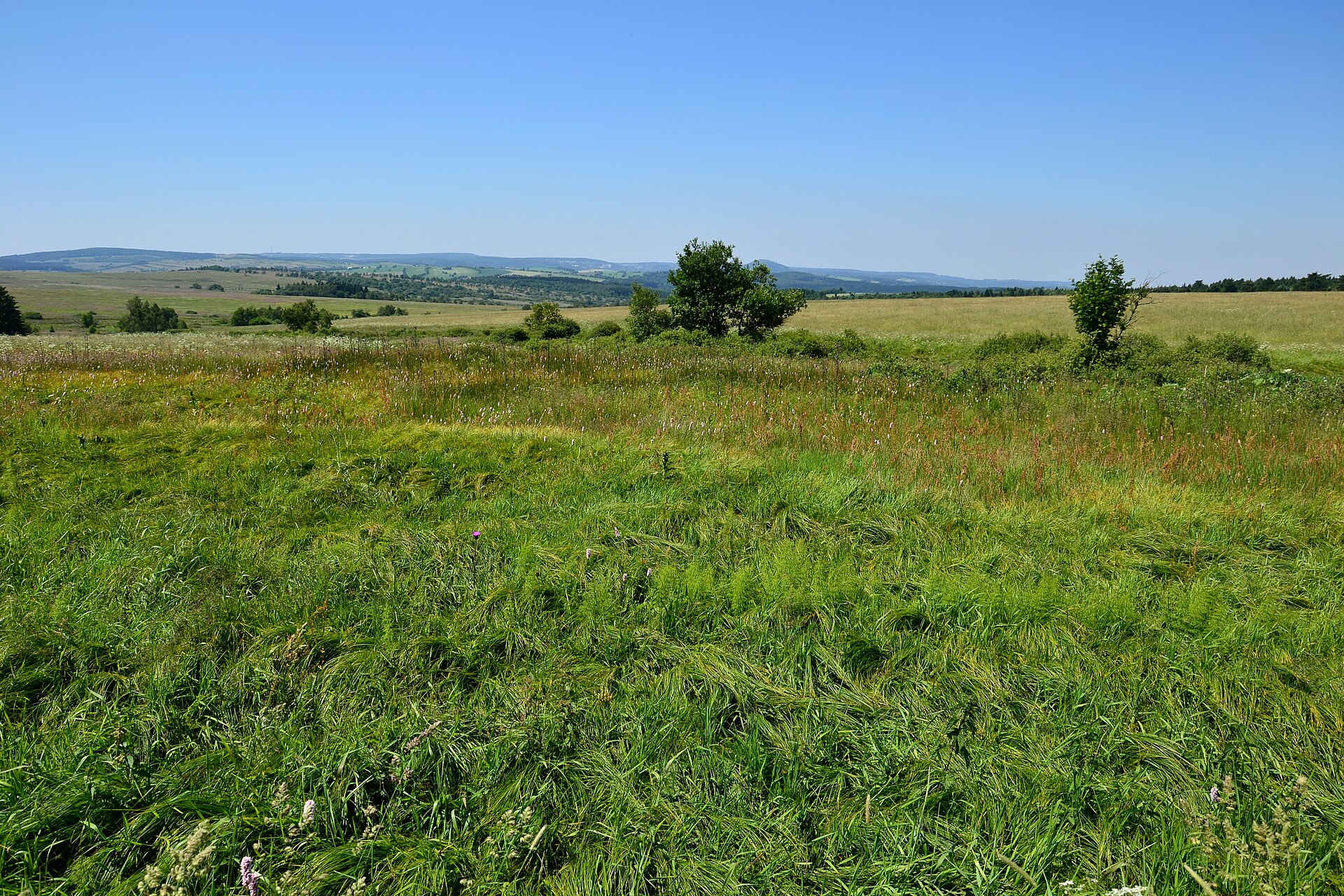 PR Černá louka 2015-07-02 3
