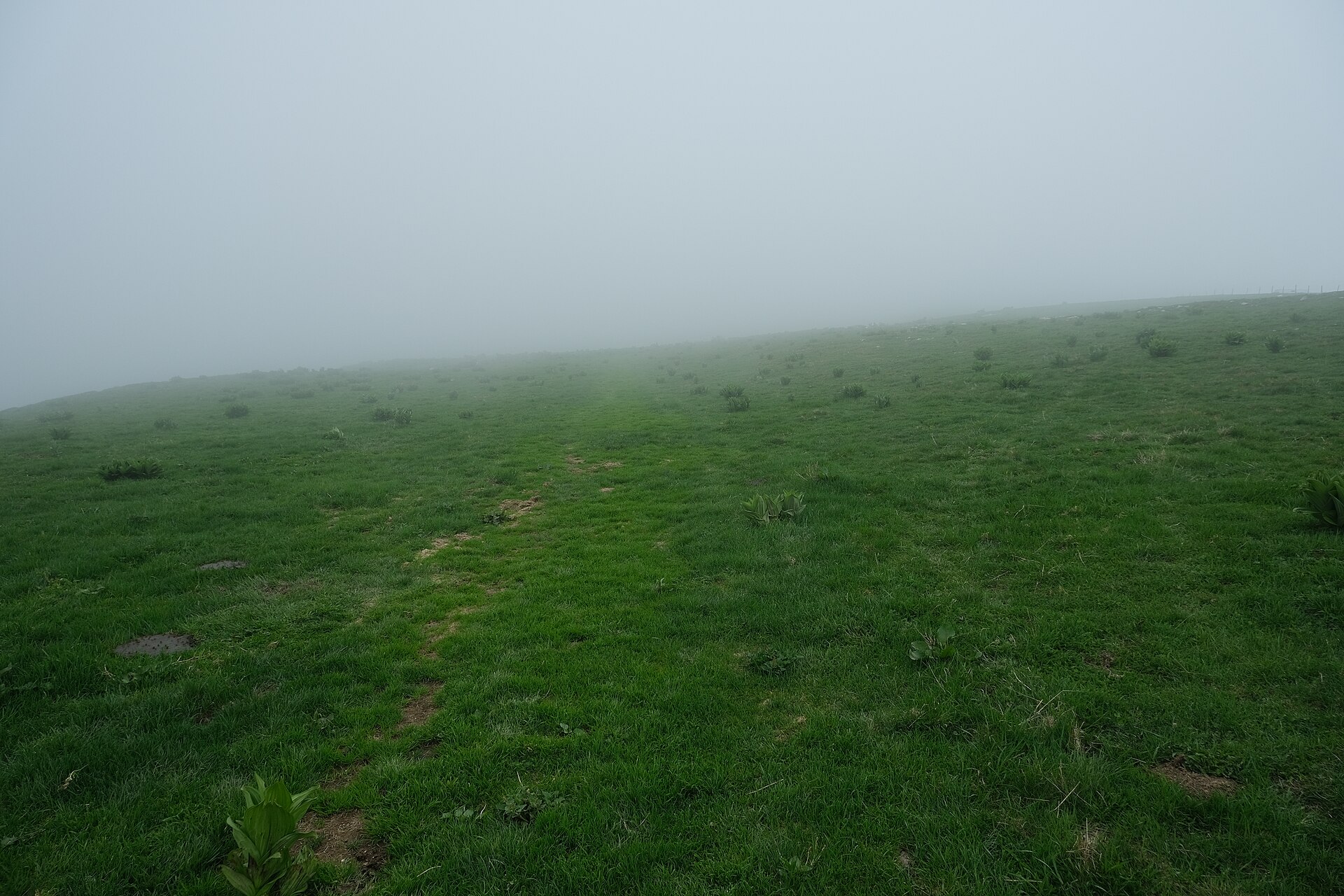 Plateau du Semnoz (51231089993)