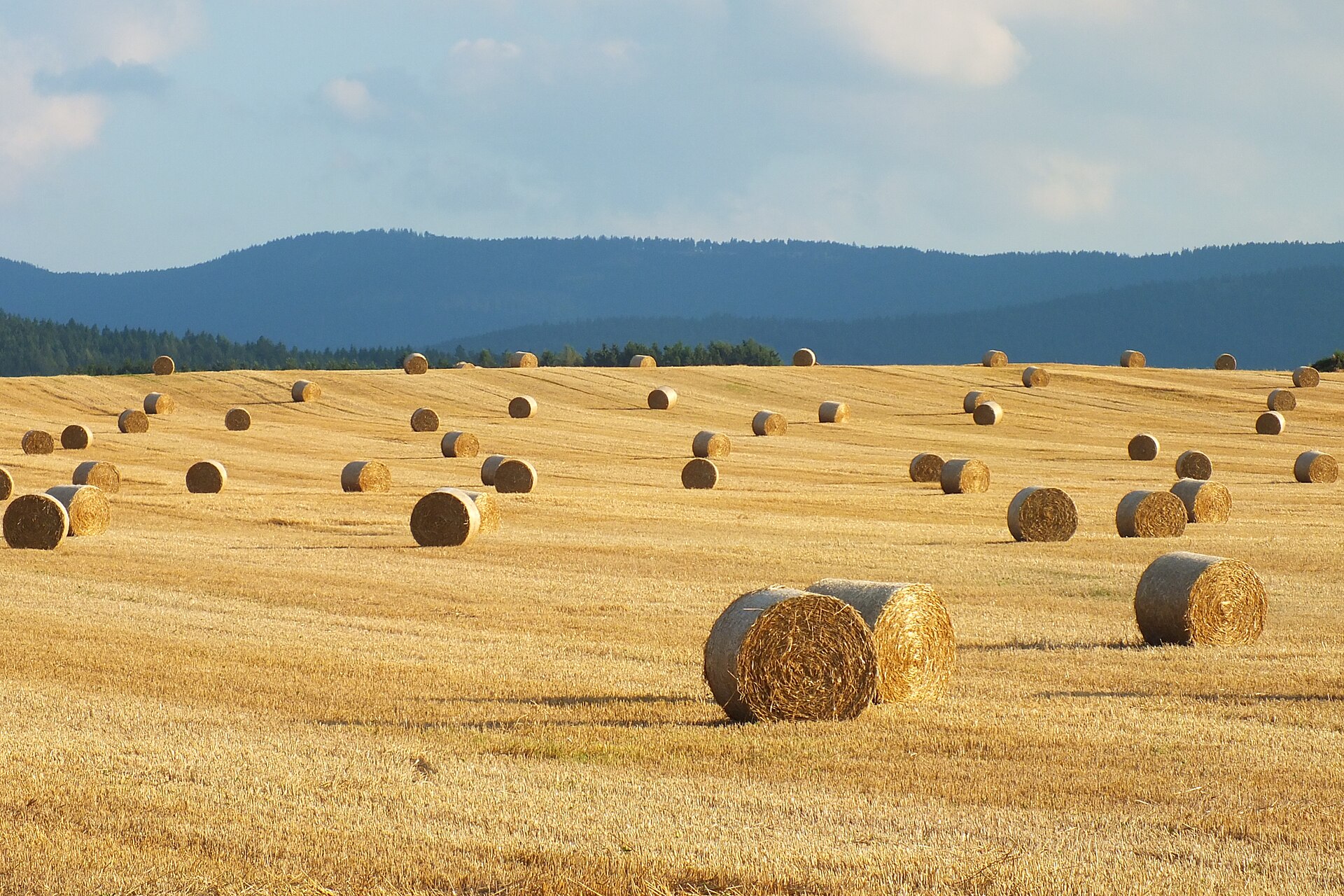 Straw bales at Nýrsko