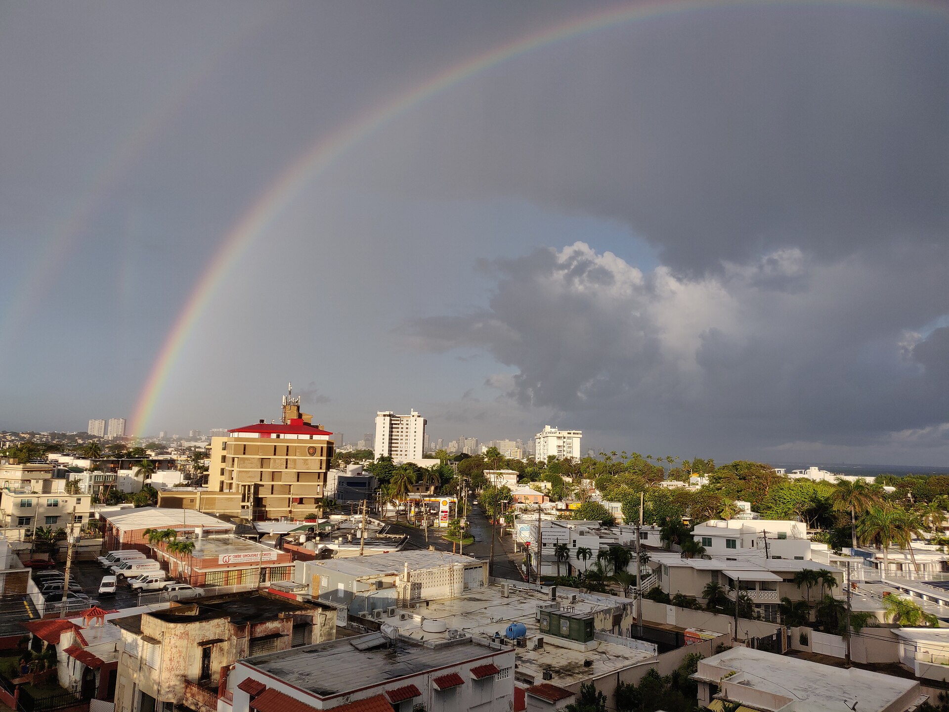 Ocean Park Rainbow