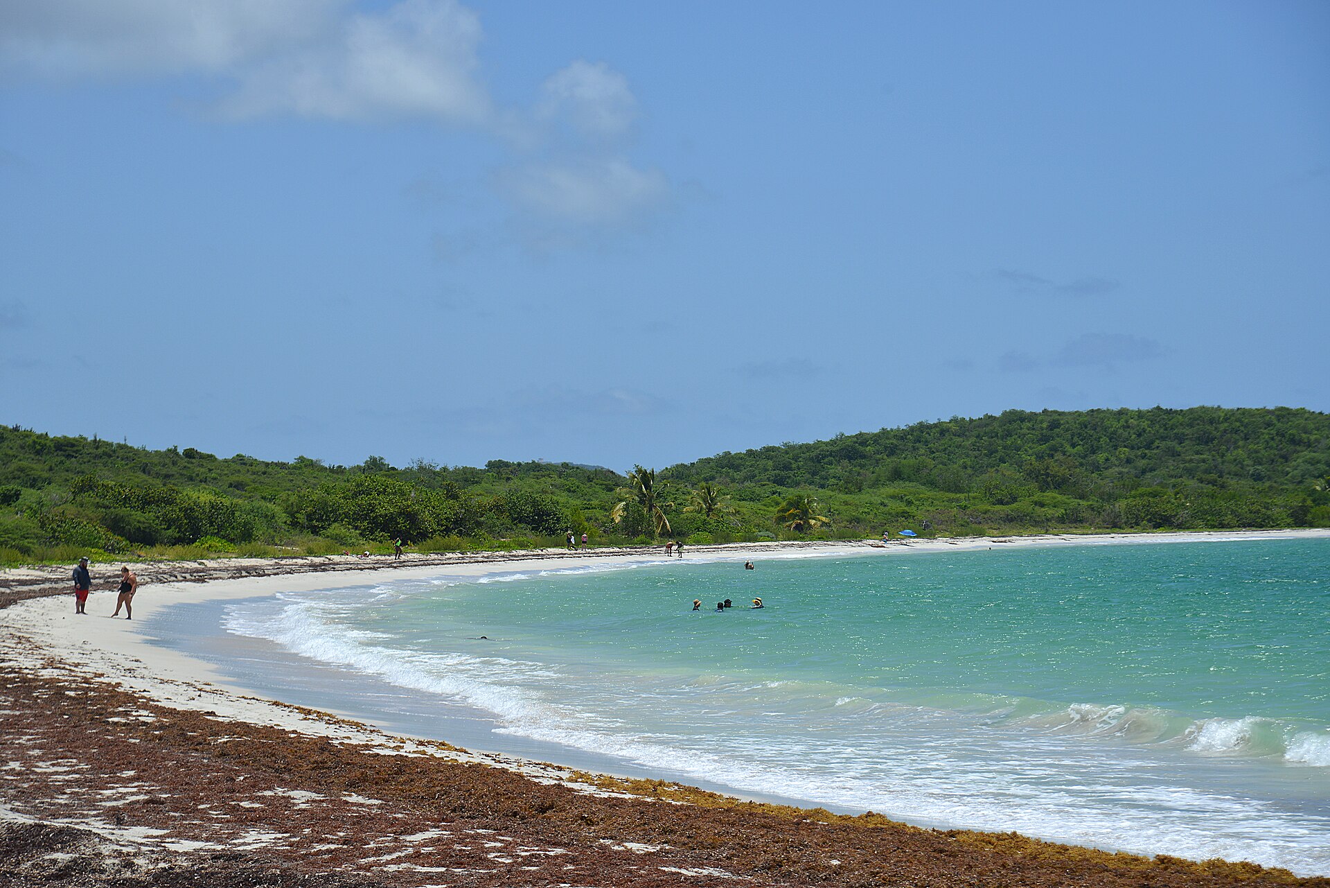 Playa La Chiva Vieques Puerto Rico 2021-08-05 12-11-26 1