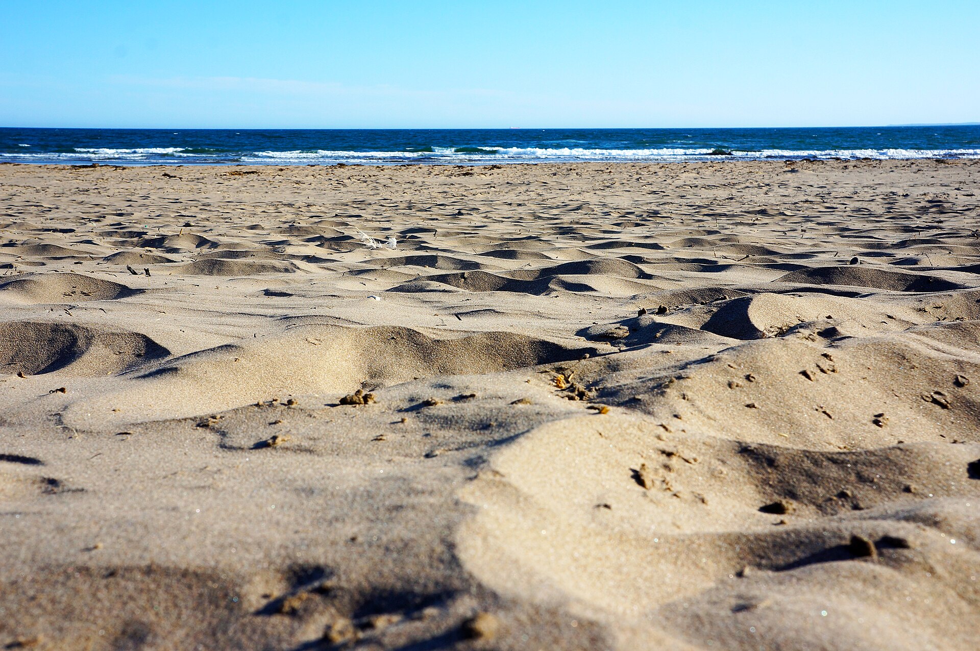 Conrads beach, again (7575441118)