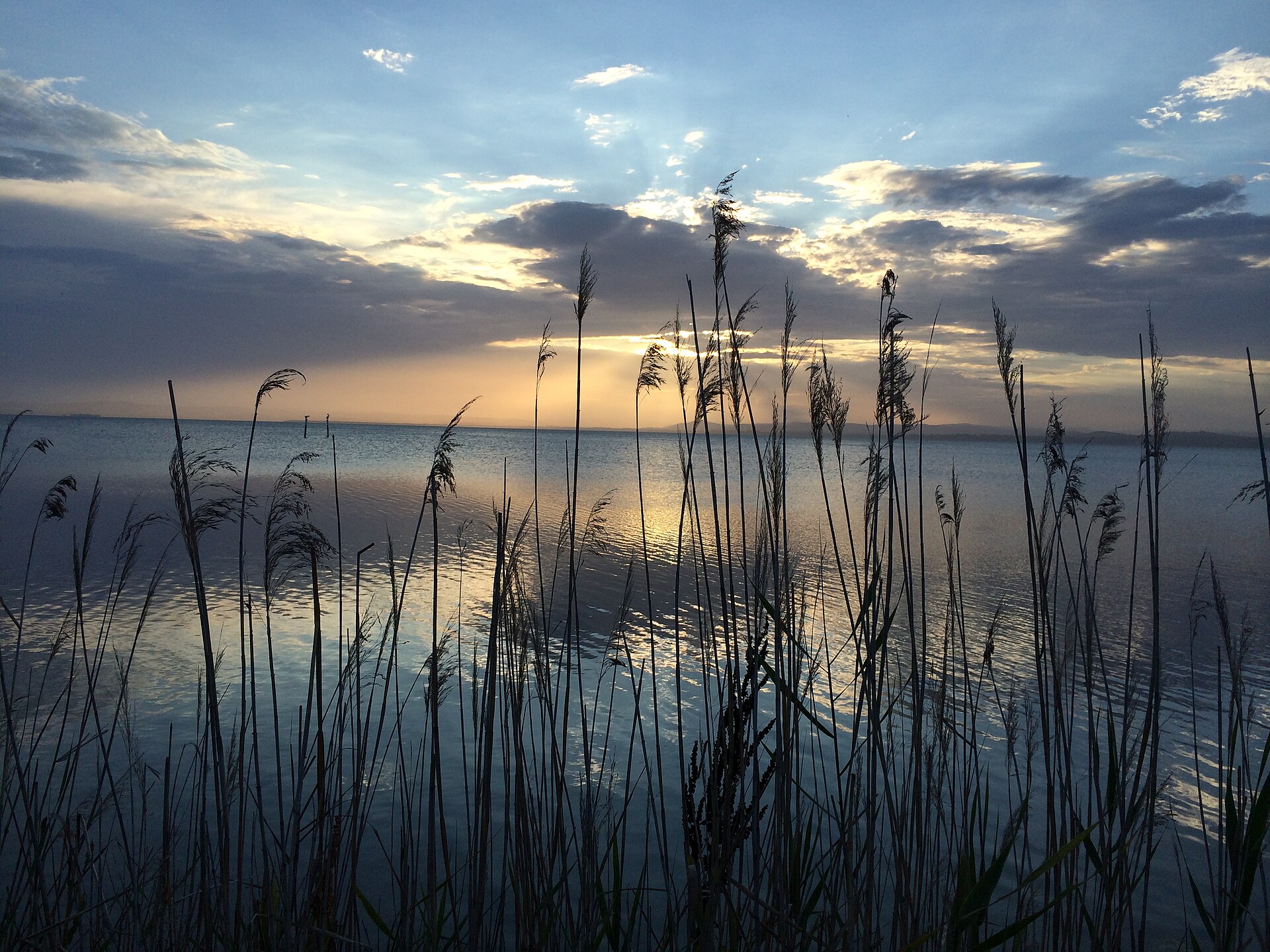 Reed and Weed Canton Beach - panoramio