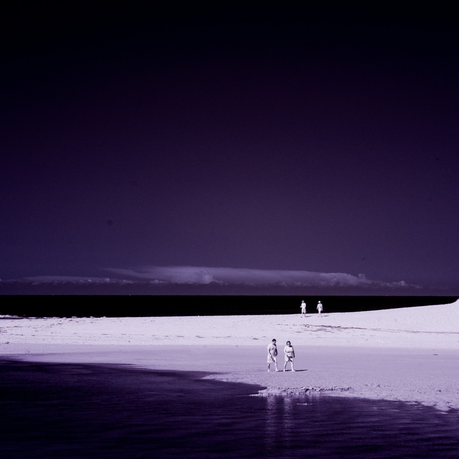 Purple Dreams (209878637)