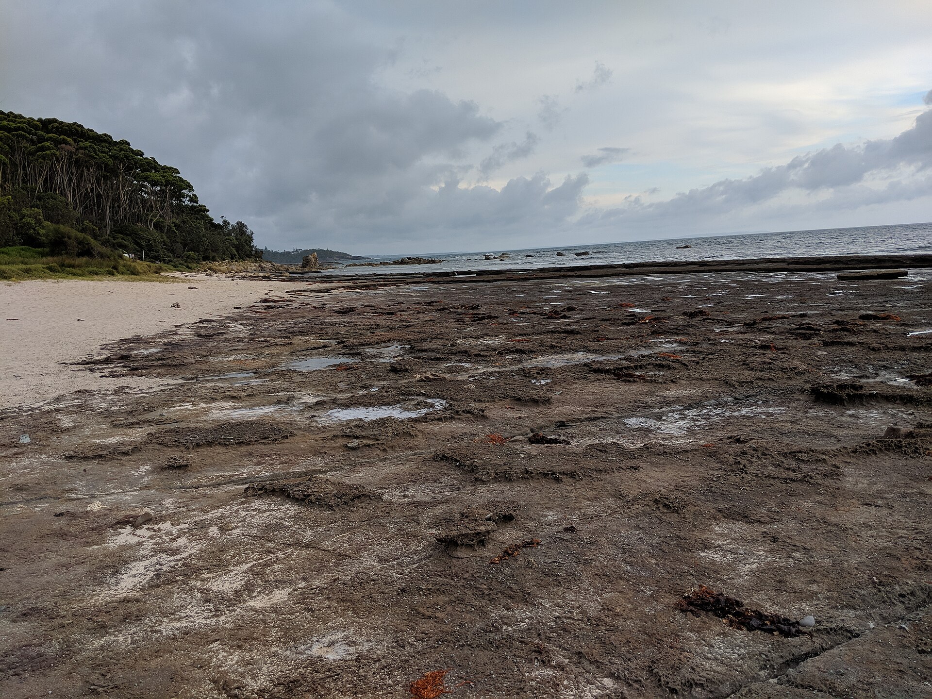 Collers Beach, Mollymook (3)