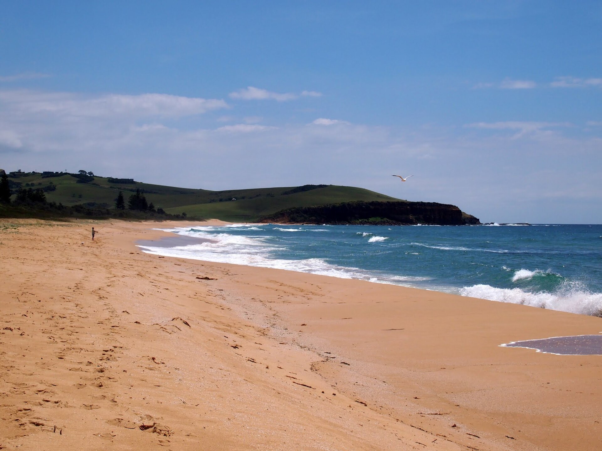 Looking north on Werri Beach - panoramio