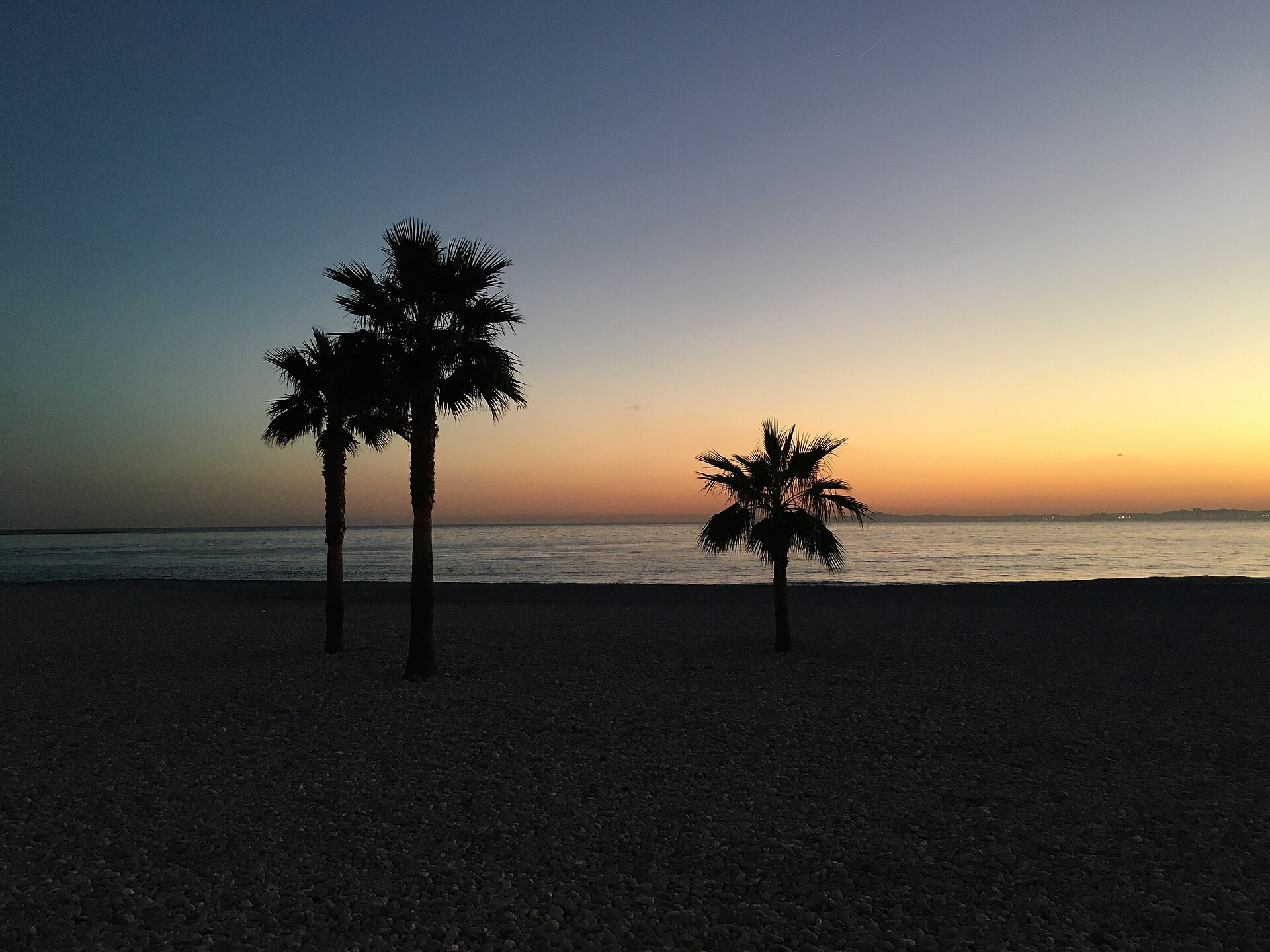 Palm trees on the beach of Saint-Laurent-du-Var (31705778095)