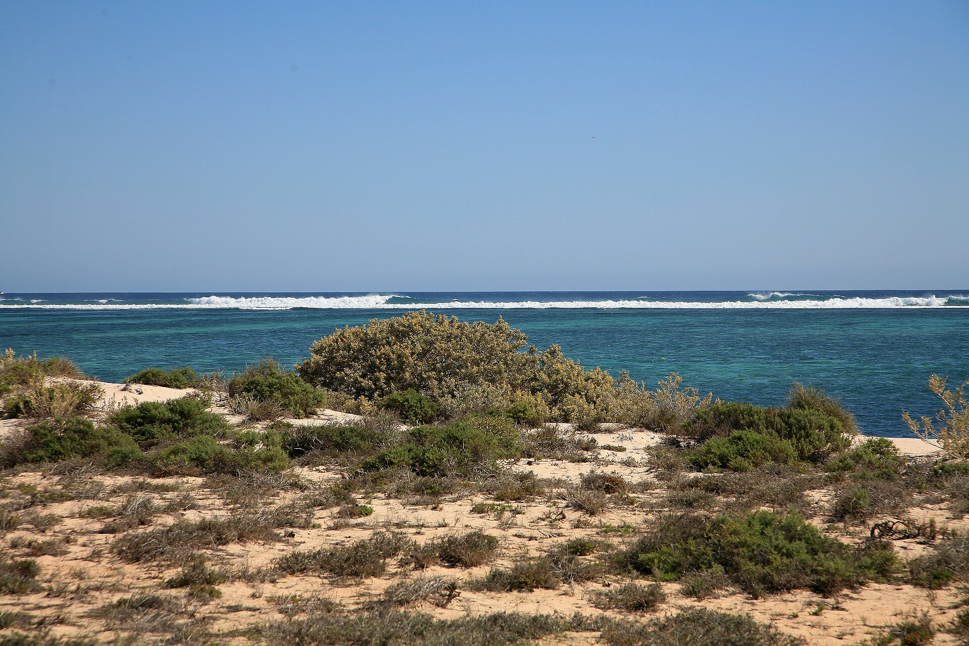 00 0775 Küste - Ningaloo Reef, Western Australia
