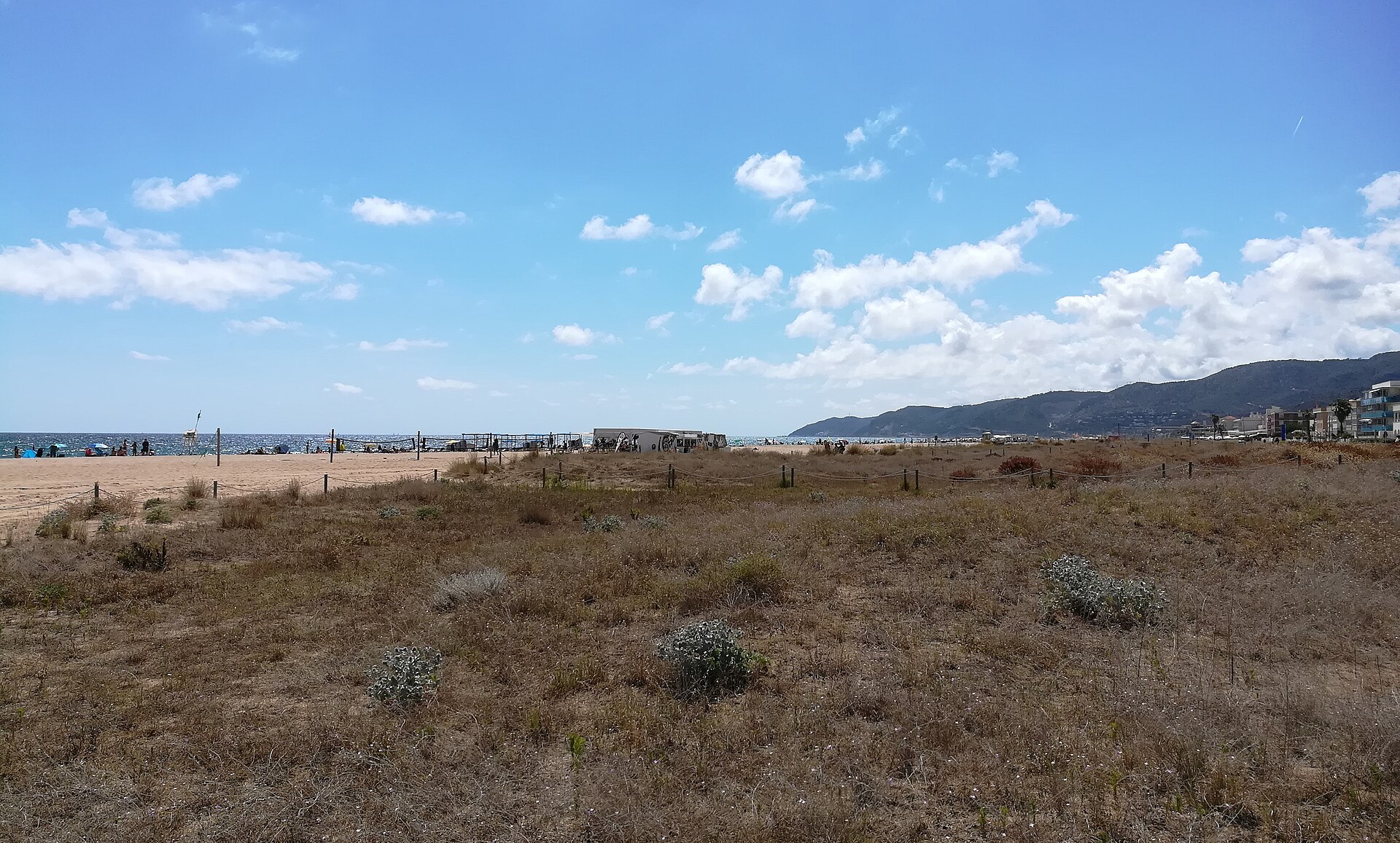03 Platja de la Pineda (Castelldefels), dunes, al fons el massís de Garraf