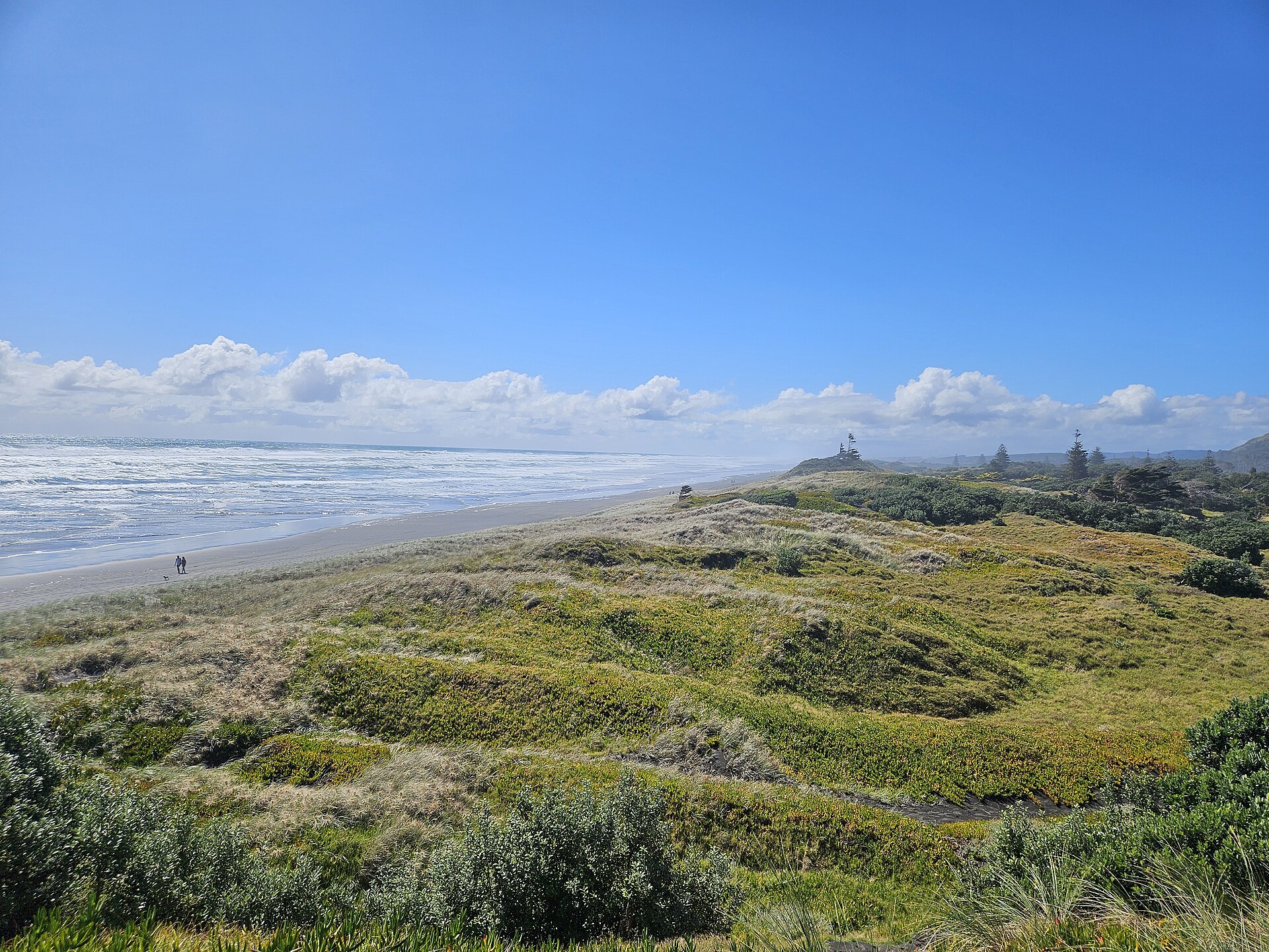 Muriwai Regional Park sand dunes 20250104 163634