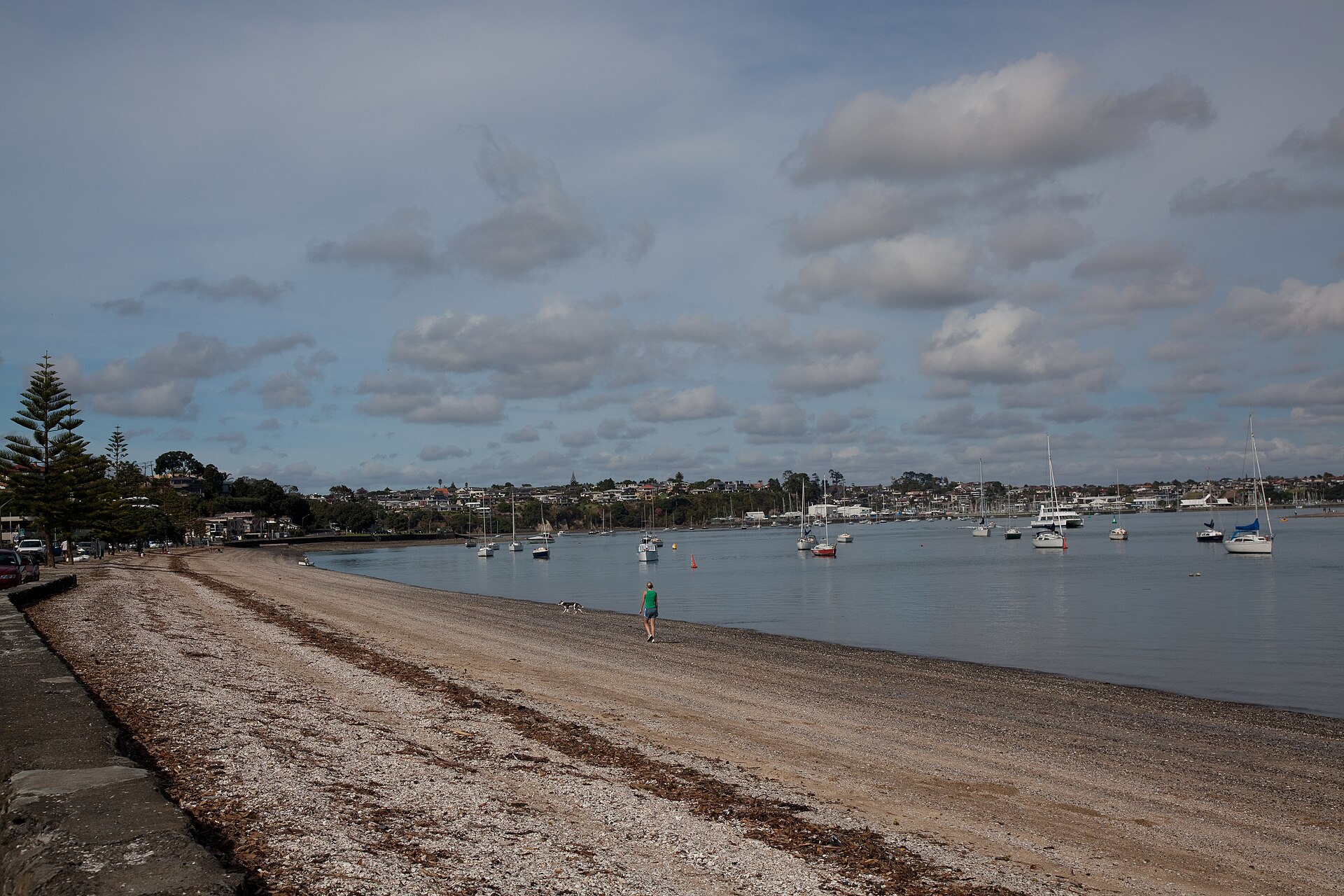 Bucklands Beach in 2010 01