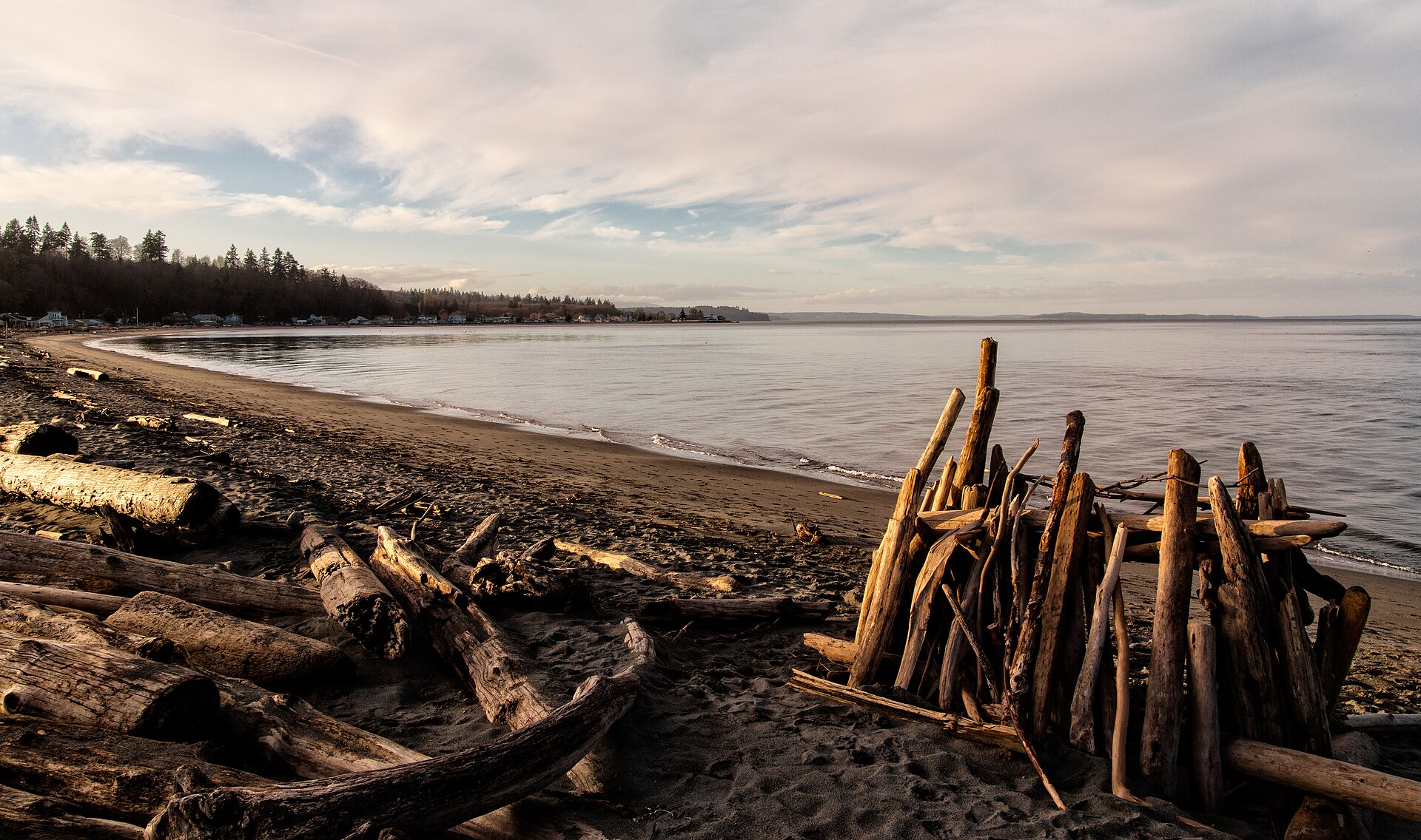 Beach Driftwood (16565210651)
