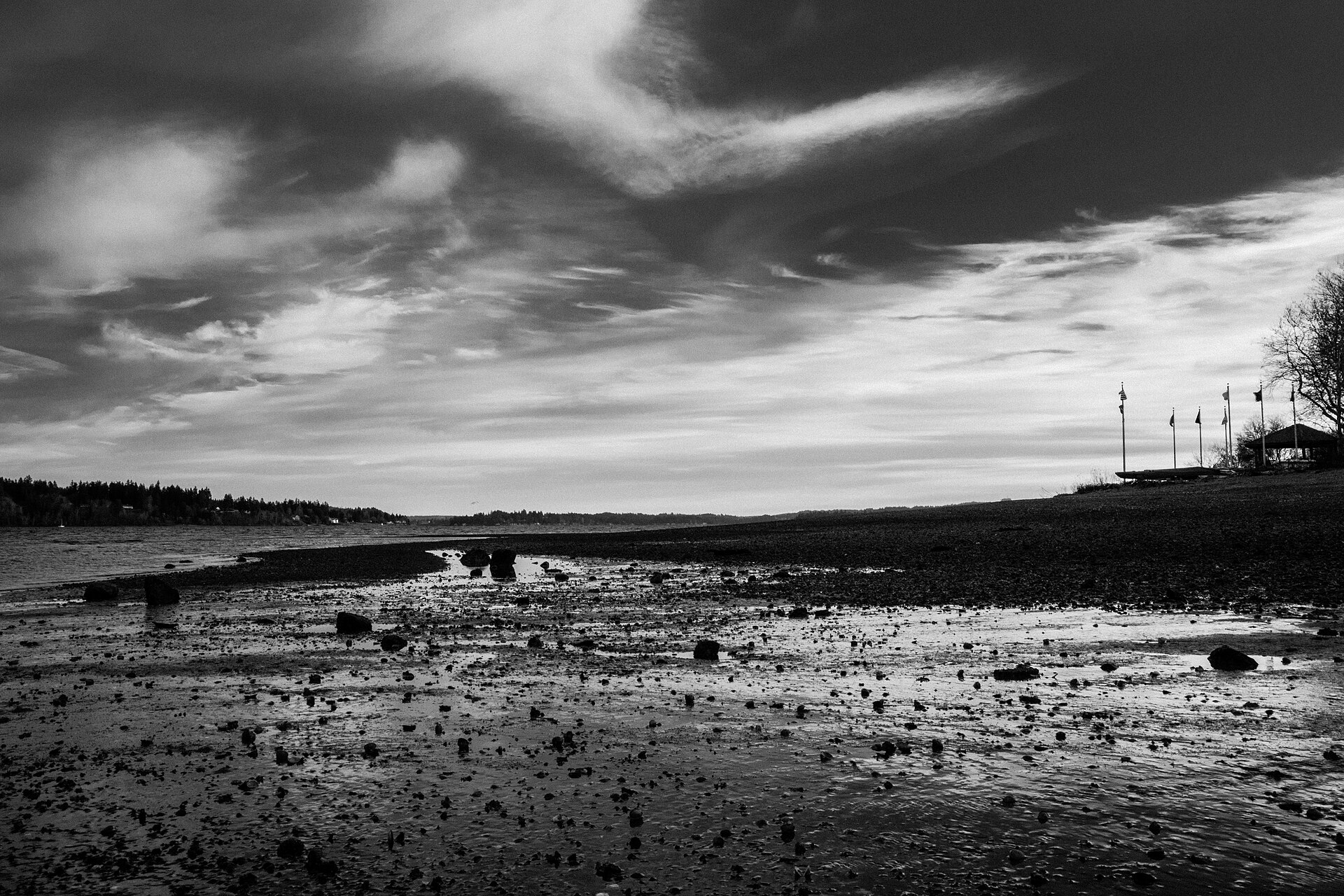 Black Beach (16097933549)