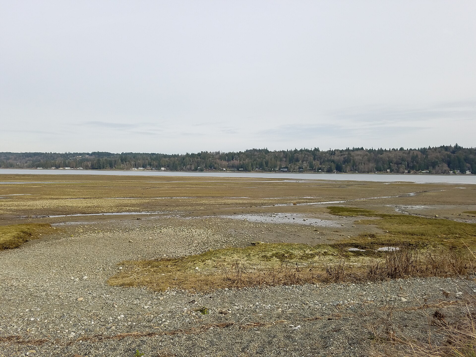 Belfair State Park WA