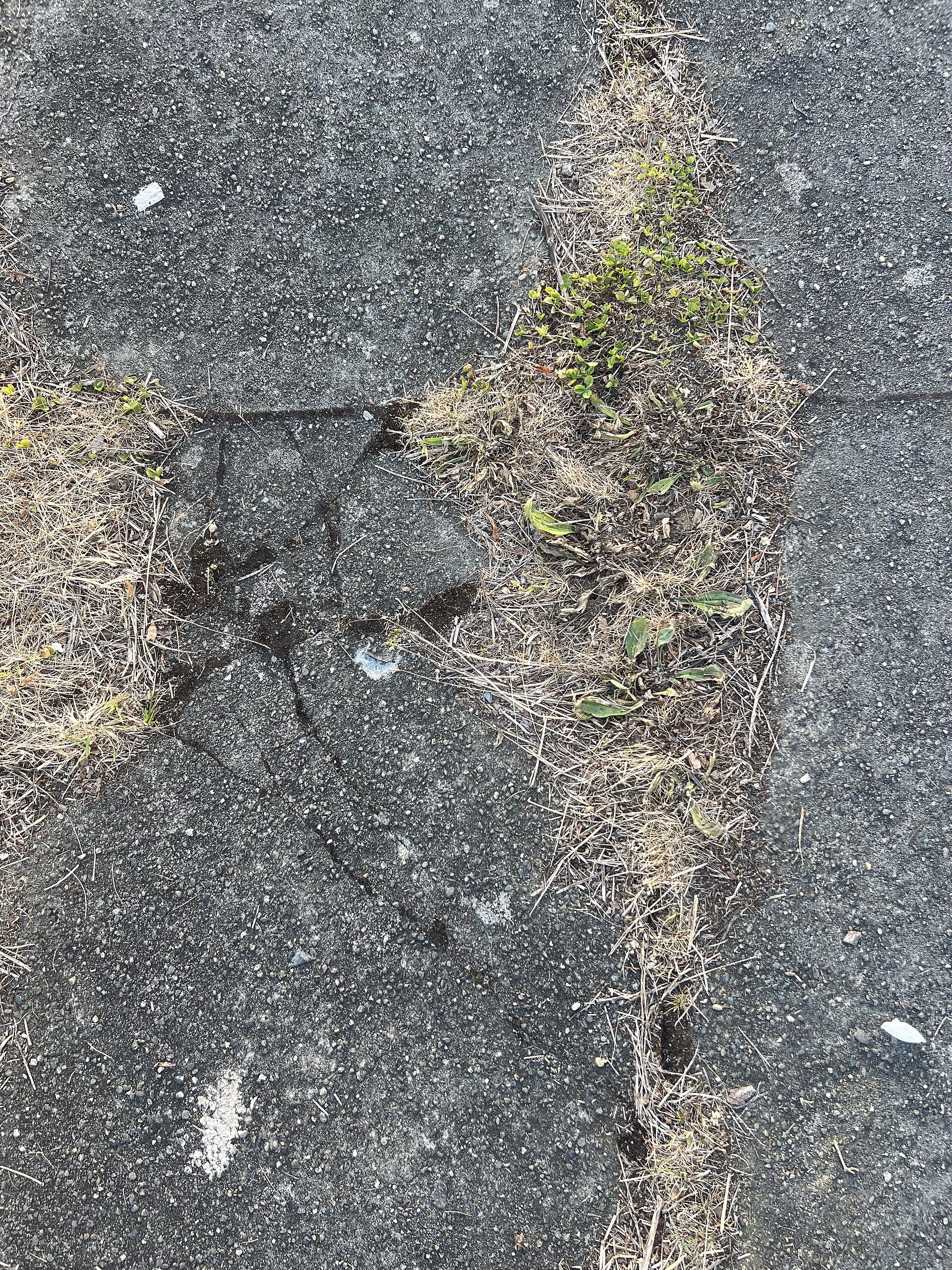 Looking down in Bayside, Everett