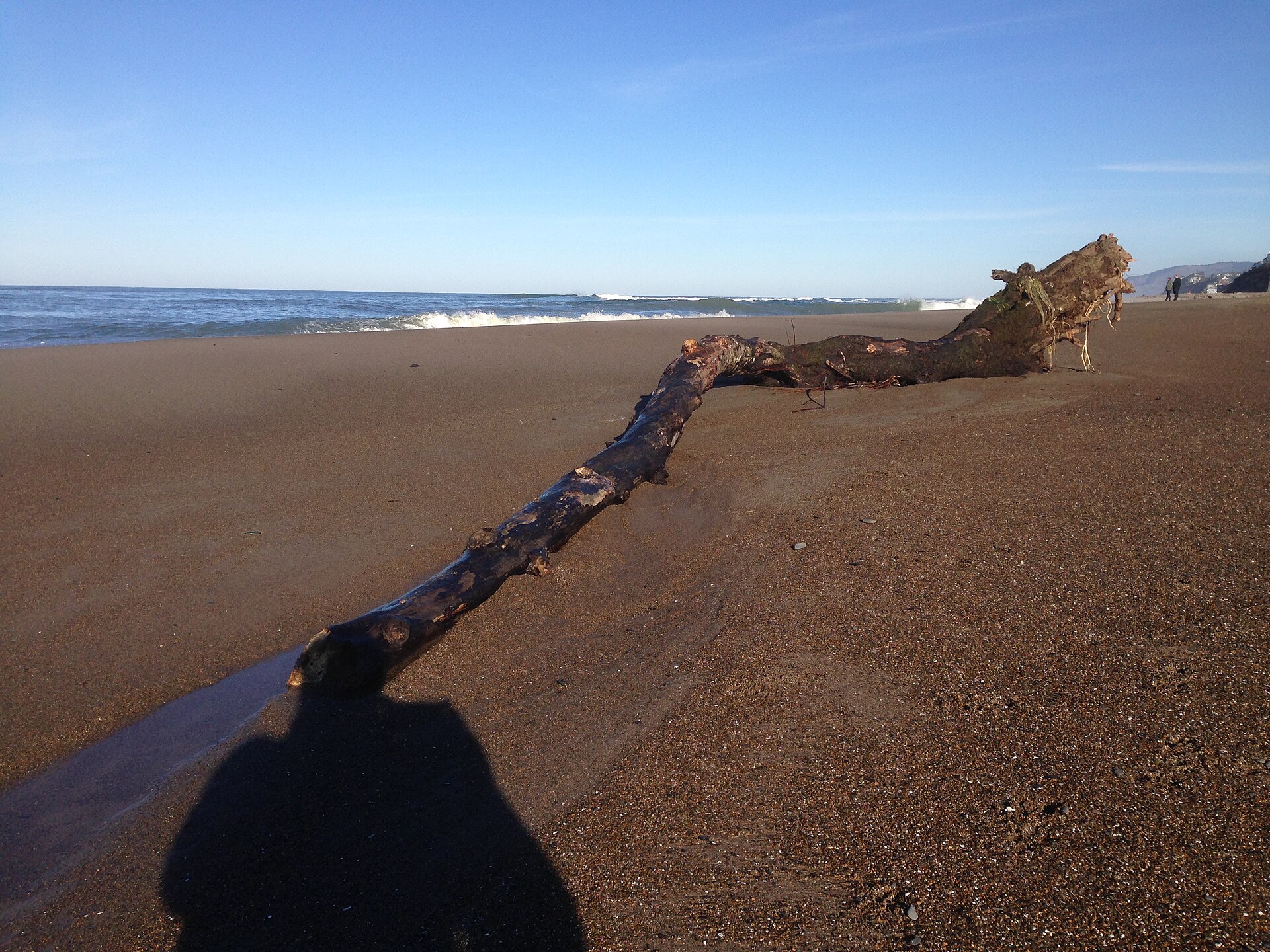 Oregon Coast - panoramio (1)