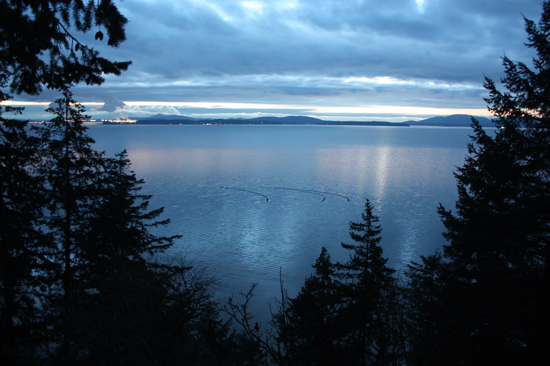 Samish Bay after dusk 02